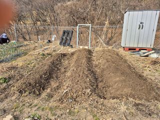 이준영님의 기타작물 · 영농일지 작성글 사진