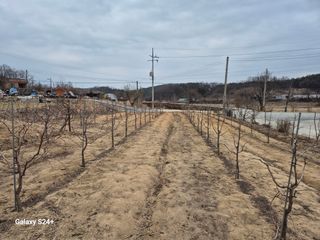 전홍열님의 기타작물 · 영농일지 작성글 사진