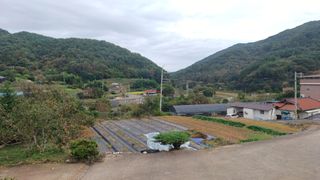 이순기님의 마늘 · 영농일지 작성글 사진