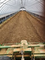 팜모닝 기타작물·영농일지 게시글 이미지