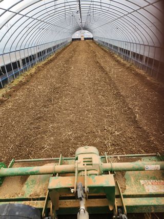 김저팔계님의 기타작물 · 영농일지 작성글 사진