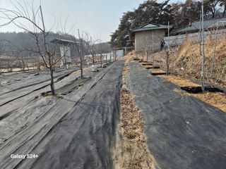 전홍열님의 기타작물 · 영농일지 작성글 사진