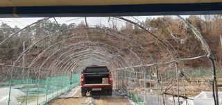 박상중님의 포도 · 영농일지 작성글 사진