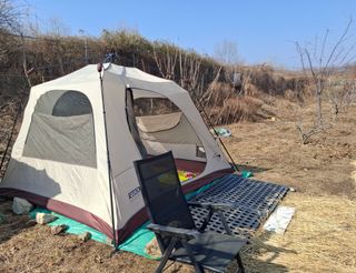 철남 김희곤님의 양파 · 영농일지 작성글 사진