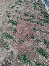 최한기님의 작성글 사진