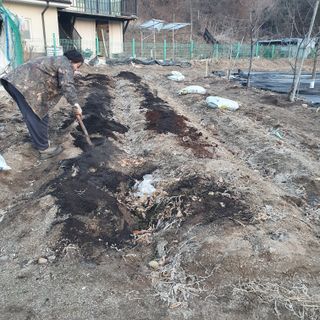 시민농장님의 기타작물 · 영농일지 작성글 사진