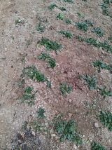 최한기님의 작성글 사진