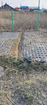 팜모닝 마늘·영농일지 게시글 이미지