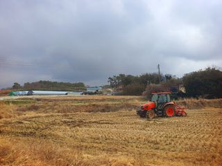 오이8898황산면님의 벼 · 영농일지 작성글 사진
