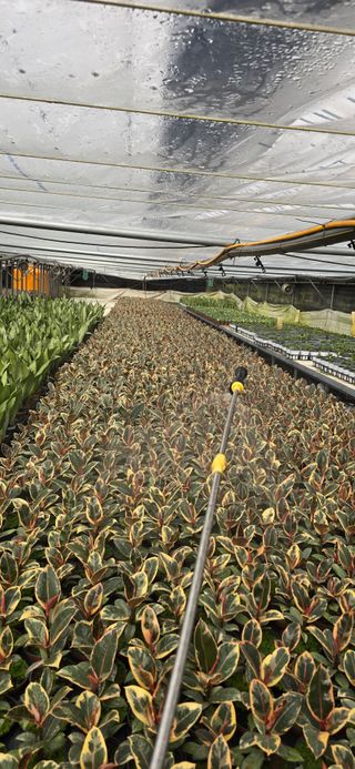 두릅나무15847님의 기타작물 · 영농일지 작성글 사진