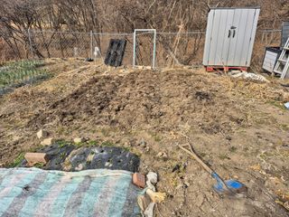 이준영님의 기타작물 · 영농일지 작성글 사진