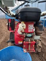 팜모닝 기타작물·영농일지 게시글 이미지