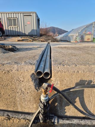 가야베리팜님의 블루베리 · 영농일지 작성글 사진