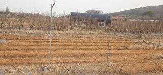 김성필님의 기타작물 · 영농일지 작성글 사진