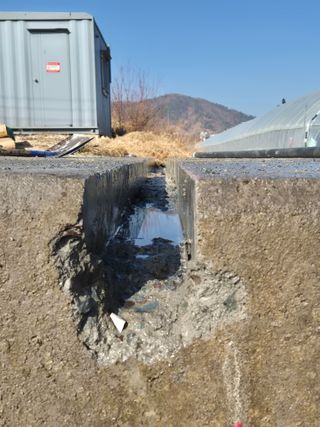 가야베리팜님의 블루베리 · 영농일지 작성글 사진