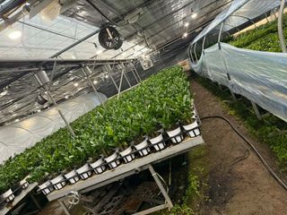 두릅나무15847님의 기타작물 · 영농일지 작성글 사진