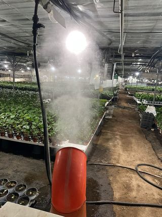 두릅나무15847님의 기타작물 · 영농일지 작성글 사진