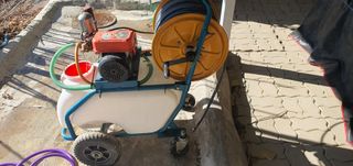 박상중님의 포도 · 영농일지 작성글 사진