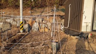 두원리 산막골농부님의 고추 · 영농일지 작성글 사진