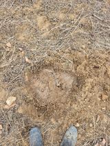 팜모닝 기타작물·영농일지 게시글 이미지