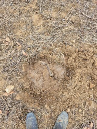 엉뚱님의 기타작물 · 영농일지 작성글 사진