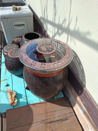 헤이쥬회원님의 고추 · 영농일지 작성글 사진