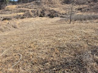 엉뚱님의 기타작물 · 영농일지 작성글 사진