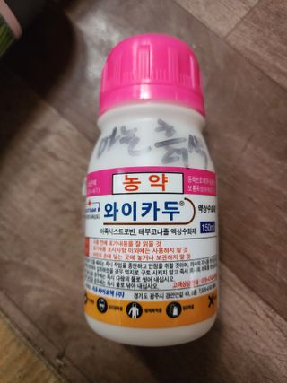 강동신님의 마늘 · 영농일지 작성글 사진