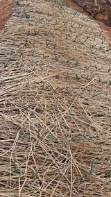 팜모닝 마늘·영농일지 게시글 이미지