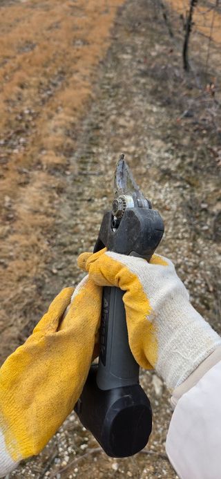 박민서님의 사과 · 영농일지 작성글 사진