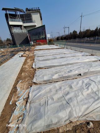 행복한누룩님의 기타작물 · 영농일지 작성글 사진