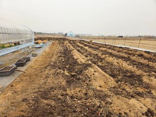 장호덕님의 기타작물 · 영농일지 작성글 사진