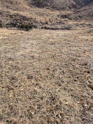 엉뚱님의 기타작물 · 영농일지 작성글 사진