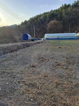 팜모닝 기타작물·영농일지 게시글 이미지