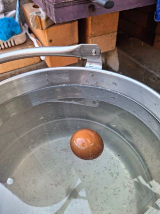 헤이쥬회원님의 고추 · 영농일지 작성글 사진