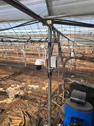 장재영님의 포도 · 영농일지 작성글 사진