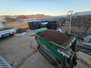 장재영님의 포도 · 영농일지 작성글 사진