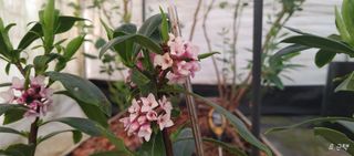 류근택님의 기타작물 · 영농일지 작성글 사진