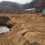 화려한이글님의 작성글 사진