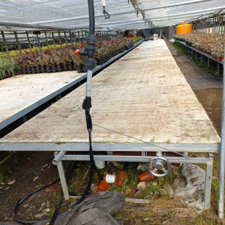 두릅나무15847님의 기타작물 · 영농일지 작성글 사진