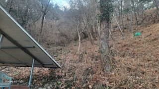 서인덕님의 기타작물 · 영농일지 작성글 사진