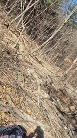 김동명님의 작성글 사진