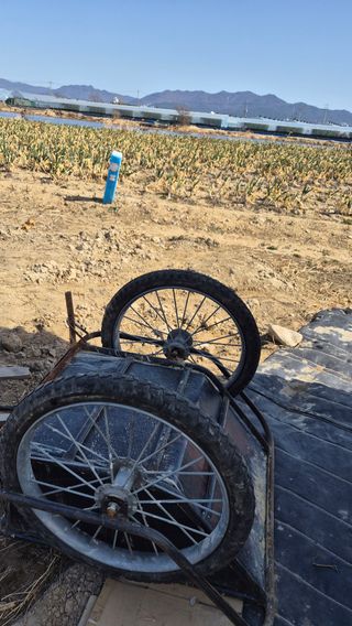 늘푸른 농장주님의 기타작물 · 영농일지 작성글 사진