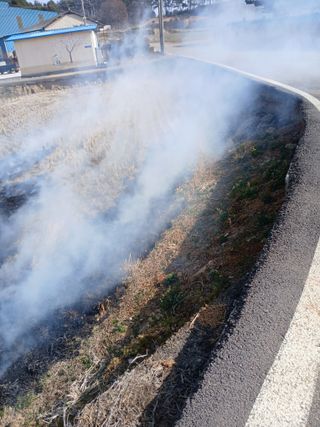 최유순님의 기타작물 · 영농일지 작성글 사진