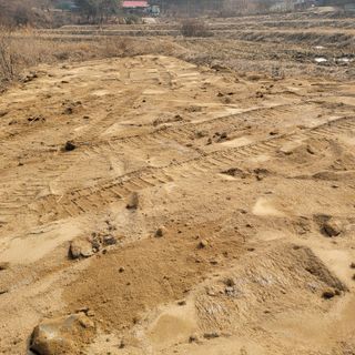 화려한이글님의 두릅 · 영농일지 작성글 사진