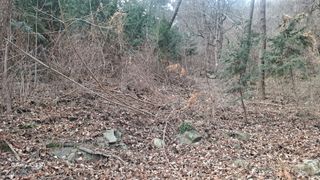 서인덕님의 기타작물 · 영농일지 작성글 사진