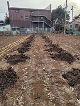 팜모닝 감자·영농일지 게시글 이미지