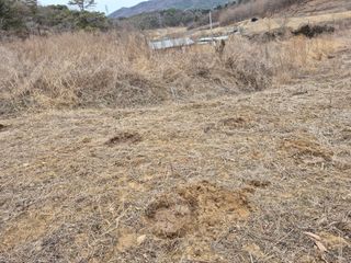 엉뚱님의 기타작물 · 영농일지 작성글 사진