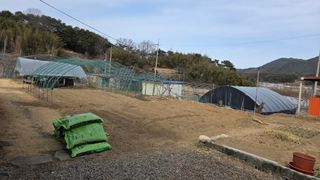 가야산아래촌농님의 기타작물 · 영농일지 작성글 사진