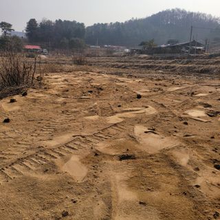 화려한이글님의 두릅 · 영농일지 작성글 사진